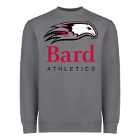 Storm bard college athletics Heavyweight Sweatshirt - artisFamous