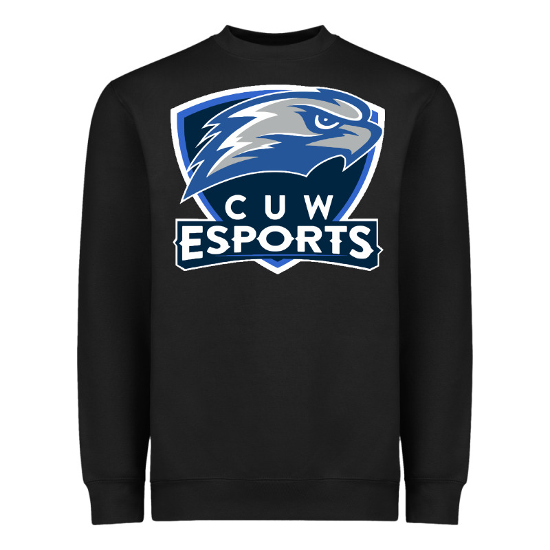 Concordia University Wisconsin Heavyweight Sweatshirt by artisFamous | Teevron
