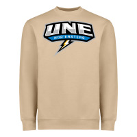 New England University Heavyweight Sweatshirt | Teevron