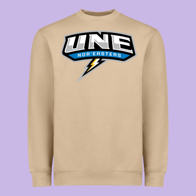 New England University Heavyweight Sweatshirt Designed By Artisfamous