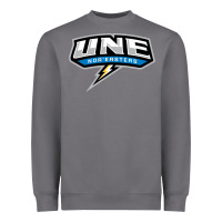 Storm new england university Heavyweight Sweatshirt - artisFamous