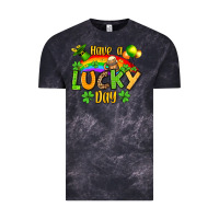 St. Patrick's Have A Lucky Day Vintage Tee | Teevron
