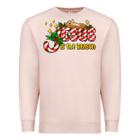 Pale Pink jesus is the reason with christmas candy ado Premium Sweatshirt - AdoDesignShop