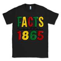 Black facts matter 1865 Classic Tee - Artiststas