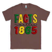Chestnut facts matter 1865 Classic Tee - Artiststas