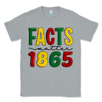 Heather Grey facts matter 1865 Classic Tee - Artiststas