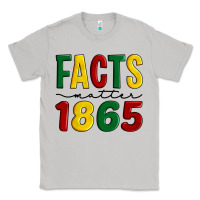 Moon Dust facts matter 1865 Classic Tee - Artiststas