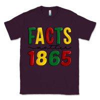 Plum facts matter 1865 Classic Tee - Artiststas