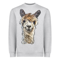 Heather Grey alpaca Heavyweight Sweatshirt - BarkalooDesign