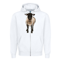 White suffolk ewe front Zipper Hoodie - BarkalooDesign