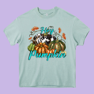 Hey Pumpkin Heavy Core Tee Designed By Texasbilliewilder