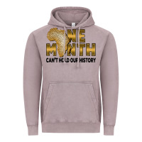 Vintage Zinc One month can't hold our history Vintage Hoodie - FaDigitalArtStudio