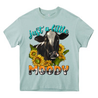 Arona Just a Little Moody Heavy Core Tee - texasbilliewilder