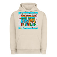 Birthday Boy To Level Up Urban Hoodie | Teevron