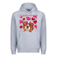 Heather Grey Valentines day  beagle Premium Hoodie - RanaPortraitStore