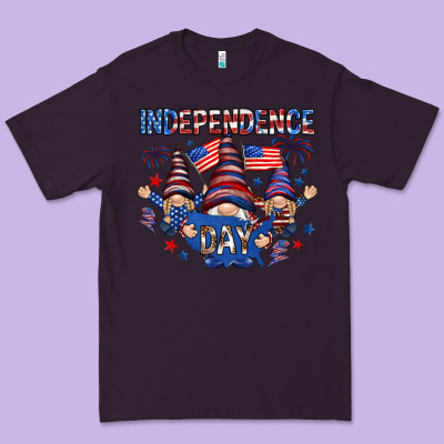 Independence Day With Gnomies Premium Tee Designed By Howdyjamesfarm