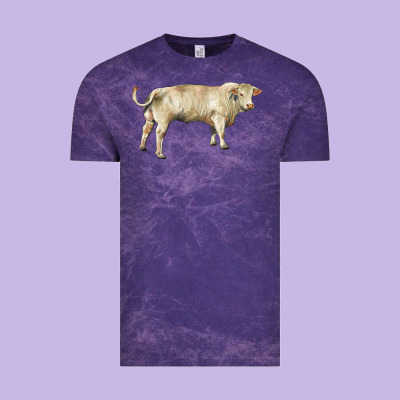 Charolais Bull Vintage Tee Designed By Ranaportraitstore