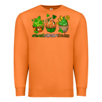 Carrot sweet st patricks day cupcake Premium Sweatshirt - AdoDesignShop