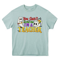 Arona You Can't Scare Me I'm a Teacher Heavy Core Tee - texasbilliewilder