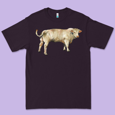 Charolais Bull Premium Tee Designed By Ranaportraitstore