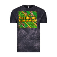 Cloud Black Let the shenanigans begin shamrock tumbler Vintage Tee - HowdyJamesFarm