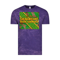 Cloud Purple Let the shenanigans begin shamrock tumbler Vintage Tee - HowdyJamesFarm