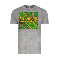 Cloud Rock Let the shenanigans begin shamrock tumbler Vintage Tee - HowdyJamesFarm
