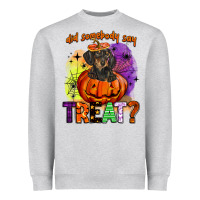 Did Somebody Say Treat Heavyweight Sweatshirt | Teevron
