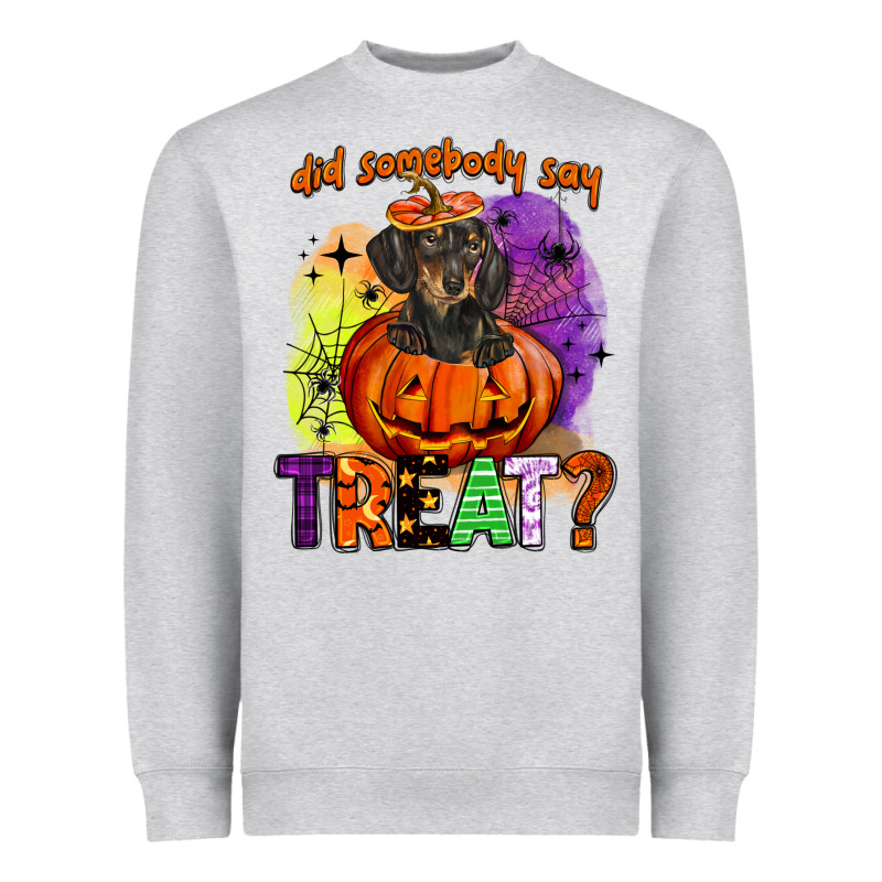 Did Somebody Say Treat Heavyweight Sweatshirt by BarkalooDesign | Teevron