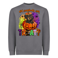 Storm did somebody say treat Heavyweight Sweatshirt - BarkalooDesign