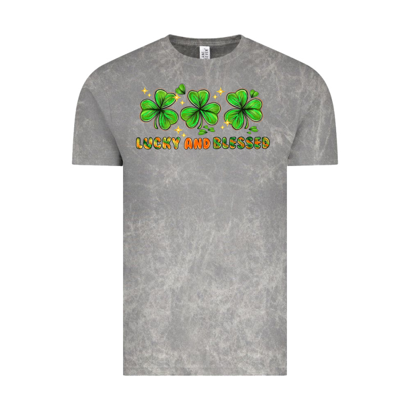 St. Patrick's Day Lucky And Blessed Vintage Tee by HowdyJamesFarm | Teevron