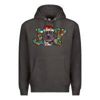 Smoke Christmas Pitbull Joy Premium Hoodie - RanaPortraitStore
