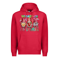 Cardinal 100 days with my gnomies Premium Hoodie - RacoonDesign