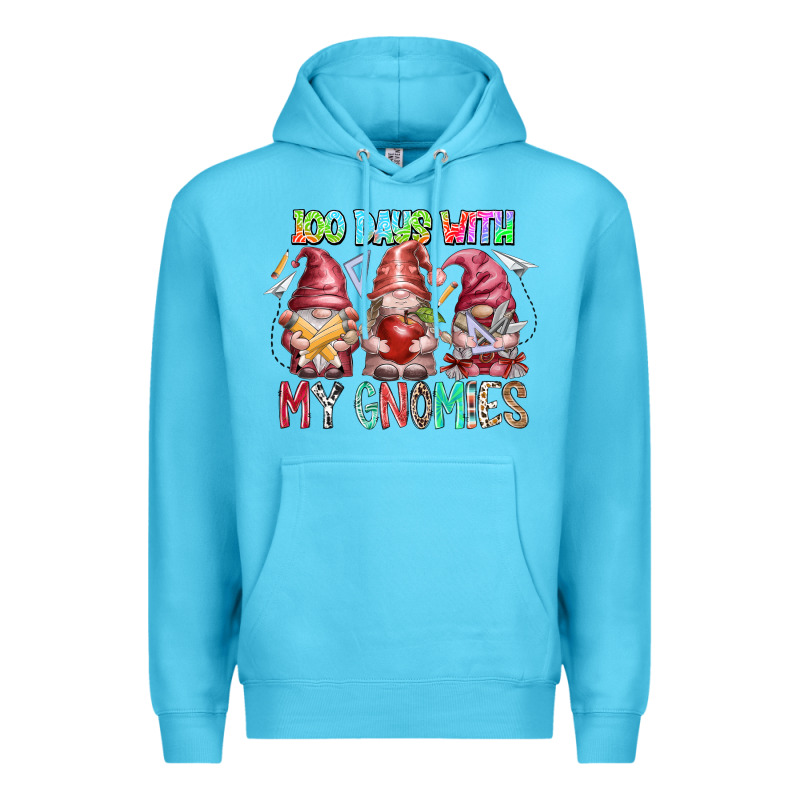100 Days With My Gnomies Premium Hoodie by RacoonDesign | Teevron