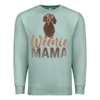 Seafoam Dog Lover Women Gift Weenie Mama Pet Mom Wiener Dachshund Premium Sweatshirt - maiPhamDesign