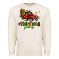 Sandshell christmas junkie Premium Sweatshirt - AdoDesignShop