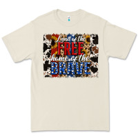 Land Of The Free  Th Of July Brushstroke Premium Tee | Teevron