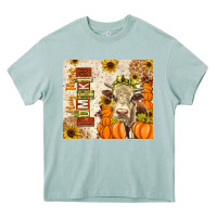 Arona fall hay there pumpkin Heavy Core Tee - texasbilliewilder