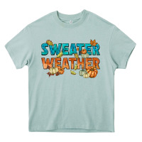 Arona weather Heavy Core Tee - texasbilliewilder