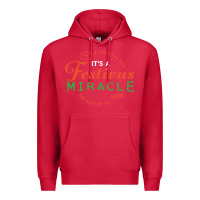 Cardinal Seinfeld It's A Festivus Miracle Premium Hoodie - maiPhamDesign
