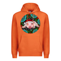 Carrot Baby Pig Christmas Premium Hoodie - RanaPortraitStore