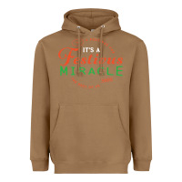 Toasted Coconut Seinfeld It's A Festivus Miracle Heavyweight Hoodie - maiPhamDesign