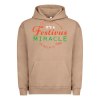 Pigment Burro Seinfeld It's A Festivus Miracle Urban Hoodie - maiPhamDesign