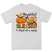 Dove Grey Thankful blessed and kind of a mess Premium Tee - NancyCooperArtShop