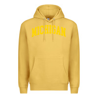 Antique Gold Michigan - Throwback Design - Classic , best gift, costume, halloween, Premium Hoodie - maiPhamDesign
