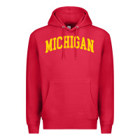 Cardinal Michigan - Throwback Design - Classic , best gift, costume, halloween, Premium Hoodie - maiPhamDesign