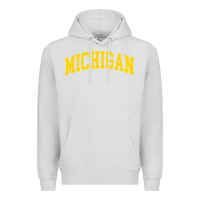 Dove Grey Michigan - Throwback Design - Classic , best gift, costume, halloween, Premium Hoodie - maiPhamDesign