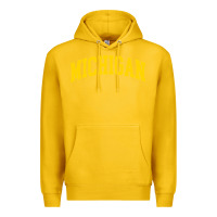 Lemon Michigan - Throwback Design - Classic , best gift, costume, halloween, Premium Hoodie - maiPhamDesign