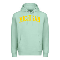 Seafoam Michigan - Throwback Design - Classic , best gift, costume, halloween, Premium Hoodie - maiPhamDesign
