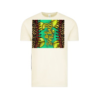 Softball Leopard Tumbler Vintage Tee | Teevron
